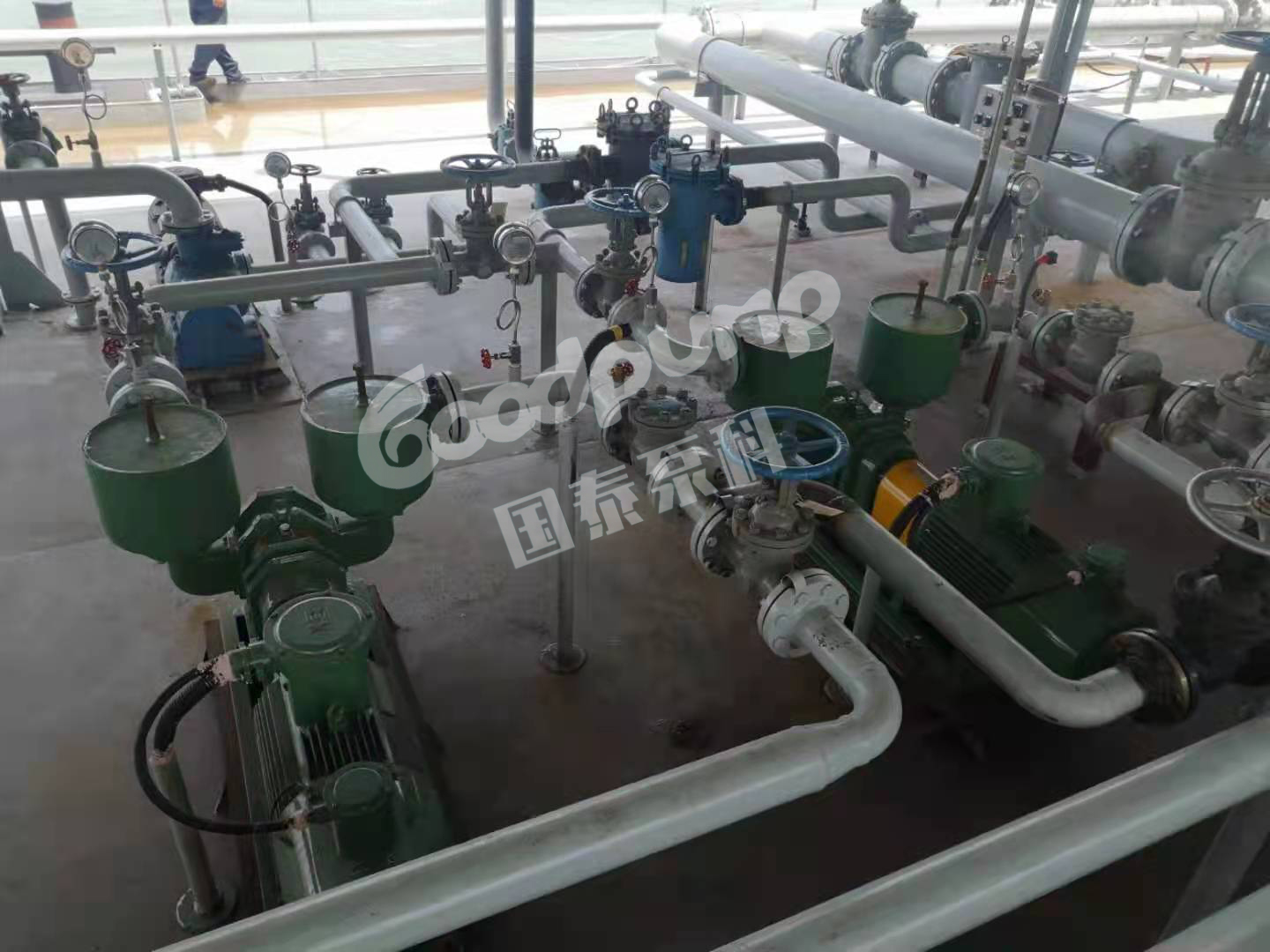 船用辣妹视频APP破解版